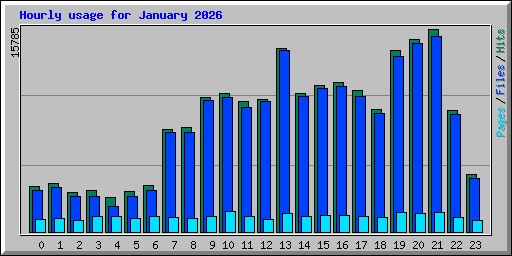 Hourly usage for January 2026